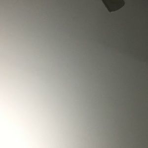 Meet your Posher, Bo